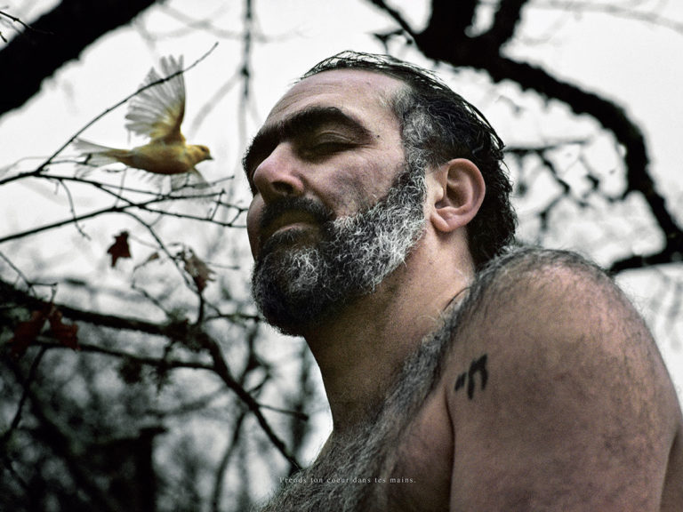 L'oiseau. Nous sommes les Rêveurs (18)