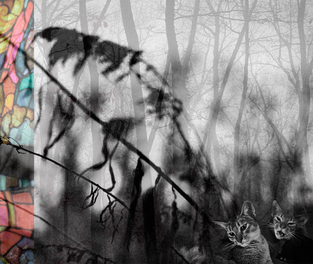 Post Tenebras Lux. Extrait.